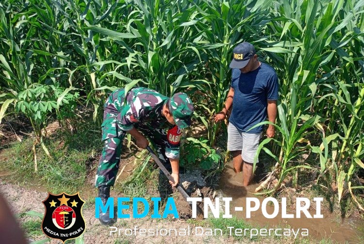 Sinergi TNI Dan Petani Babinsa Purwokerto Pastikan Pasokan Air Lahan Jagung Dusun Tumpuk Optimal