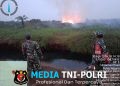 Babinsa Koramil 402-12/Pemulutan Berhasil Padamkan Karhutla Seluas 10 Hektare di Desa Pulau Negara