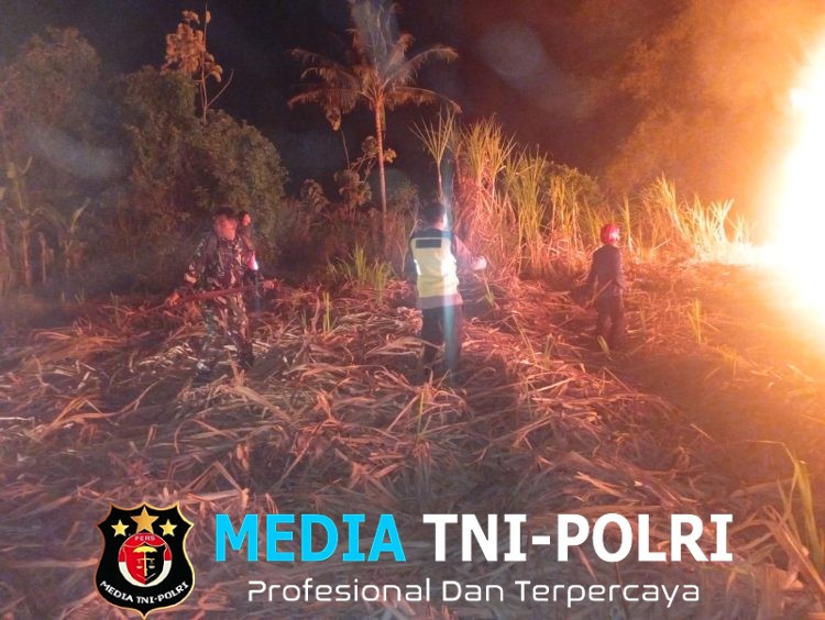 Api Mengamuk di Lahan Tebu Andong, Babinsa dan Damkar Bergerak Cepat Cegah Kebakaran Meluas
