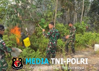 Aksi Cepat Tanggap, Pos Kout Satgas Yonarmed 13/Nanggala Bergerak Cepat Padamkan Karhutla di Wilayah Senaning