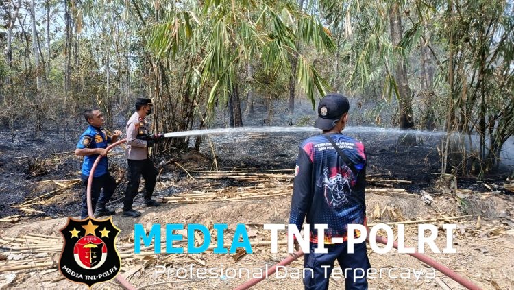 Petugas dan Warga Bergerak Cepat, Kebakaran Perkebunan Jati di Ambarawa Berhasil Dipadamkan