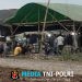 Dugaan Arena Sabung Ayam di Dusun Betek, Desa Rejoso, Kecamatan Binangun, Blitar, Disorot Muncul Pertanyaan soal Pengawasan APH