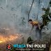Bhabinkamtibmas Polsek Terbanggi Besar, Bripka Nasrun Harahap Gerak Cepat Padamkan Kebakaran Lahan Warga