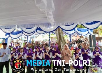 Penuhi Kebutuhan Dasar Masyarakat, Ketua Umum TP Posyandu Dorong Penguatan Layanan 6 Bidang SPM