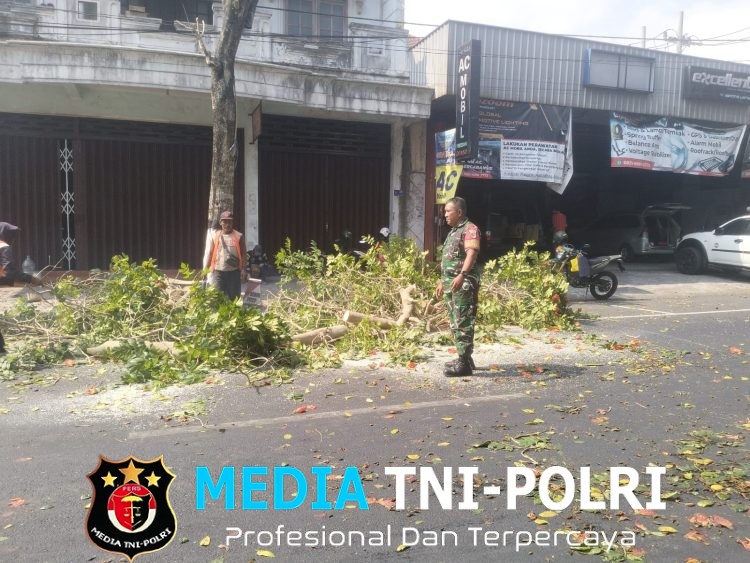 Antisipasi Pohon Tumbang Di Musim Pancaroba, Babinsa Sukorejo Bersinergi Dengan DLH Kota Blitar