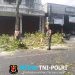 Antisipasi Pohon Tumbang Di Musim Pancaroba, Babinsa Sukorejo Bersinergi Dengan DLH Kota Blitar