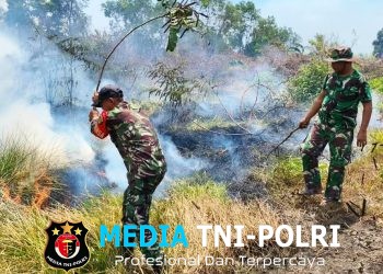 Babinsa Wanam Sigap Padamkan Kebakaran Lahan Selamatkan Lingkungan Dari Ancaman Api
