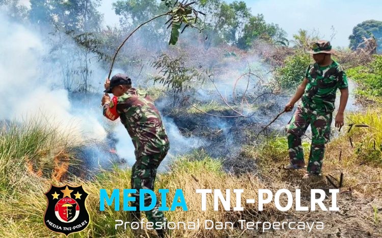 Babinsa Wanam Sigap Padamkan Kebakaran Lahan Selamatkan Lingkungan Dari Ancaman Api