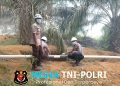 Antisipasi Karhutla, Polsek Mempawah Hulu Bersama PT. HDL Laksanakan Patroli di Area Perkebunan