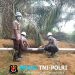 Antisipasi Karhutla, Polsek Mempawah Hulu Bersama PT. HDL Laksanakan Patroli di Area Perkebunan