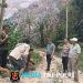 Polsek Limau Cek Titik Hotspot di Pekon Umbar Tanggamus, Api Hanguskan Setengah Hektare Lahan