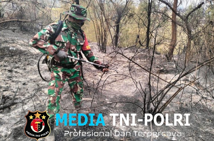 Anggota TNI Kodim 0825/Banyuwangi Turun ke Kawah Ijen, Sisir Titik Bekas Karhutla hingga Pastikan Api Padam