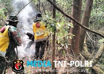 Anggota TNI Kodim 0825/Banyuwangi Turun ke Kawah Ijen, Sisir Titik Bekas Karhutla hingga Pastikan Api Padam