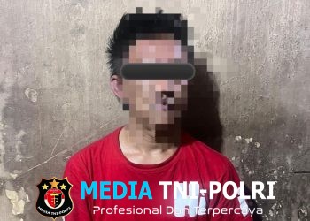 Residivis Curanmor Asal OKU Timur Diringkus Polisi, Truk Senilai Rp450 Juta di Mesuji Berhasil Diamankan