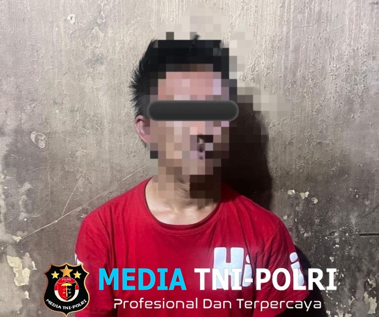 Residivis Curanmor Asal OKU Timur Diringkus Polisi, Truk Senilai Rp450 Juta di Mesuji Berhasil Diamankan