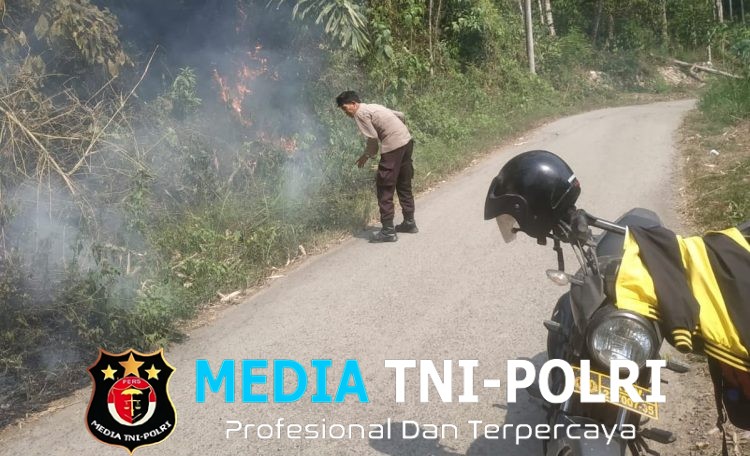 Polsek Limau Cek Dua Titik Hotspot Terdeteksi di Kelumbayan Tanggamus, Api Berangsur Padam