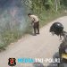 Polsek Limau Cek Dua Titik Hotspot Terdeteksi di Kelumbayan Tanggamus, Api Berangsur Padam