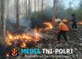 Cepat Tanggap, Babinsa Koramil Sutojayan Bersama Tim Gabungan Berhasil Padamkan Karhutla 2 Hektar Di Blitar