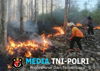 Cepat Tanggap, Babinsa Koramil Sutojayan Bersama Tim Gabungan Berhasil Padamkan Karhutla 2 Hektar Di Blitar