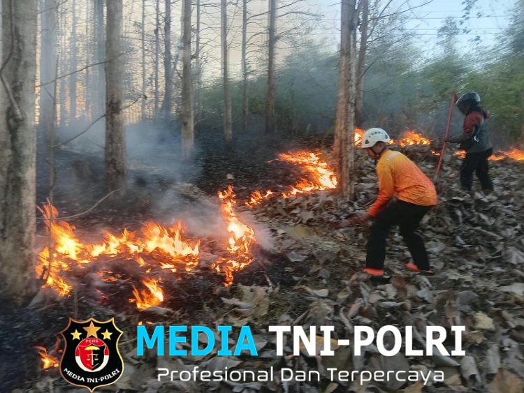 Cepat Tanggap, Babinsa Koramil Sutojayan Bersama Tim Gabungan Berhasil Padamkan Karhutla 2 Hektar Di Blitar