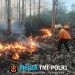 Cepat Tanggap, Babinsa Koramil Sutojayan Bersama Tim Gabungan Berhasil Padamkan Karhutla 2 Hektar Di Blitar