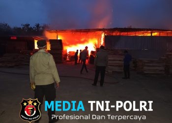 Pabrik Pengolahan Kayu di Pringsewu Ludes Terbakar, Kerugian Capai Rp 1,2 Miliar