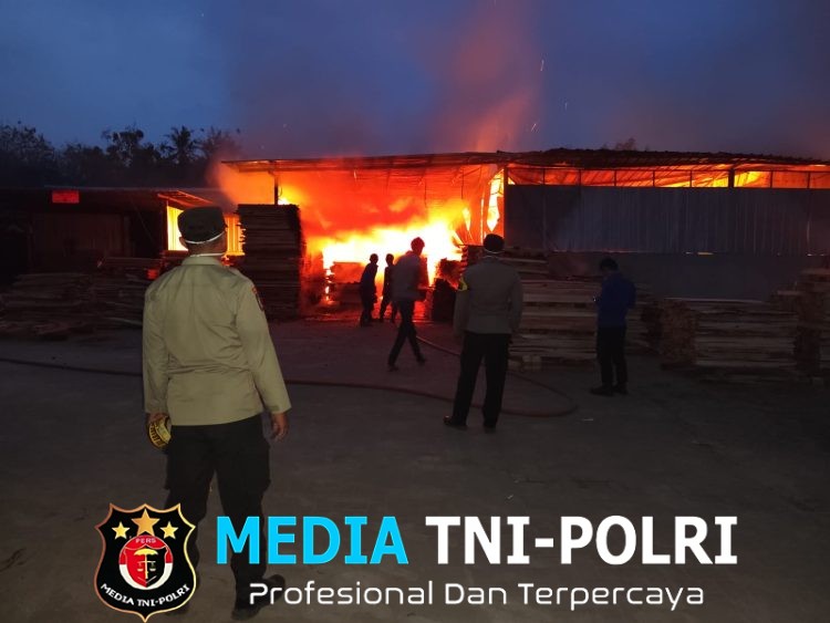 Pabrik Pengolahan Kayu di Pringsewu Ludes Terbakar, Kerugian Capai Rp 1,2 Miliar