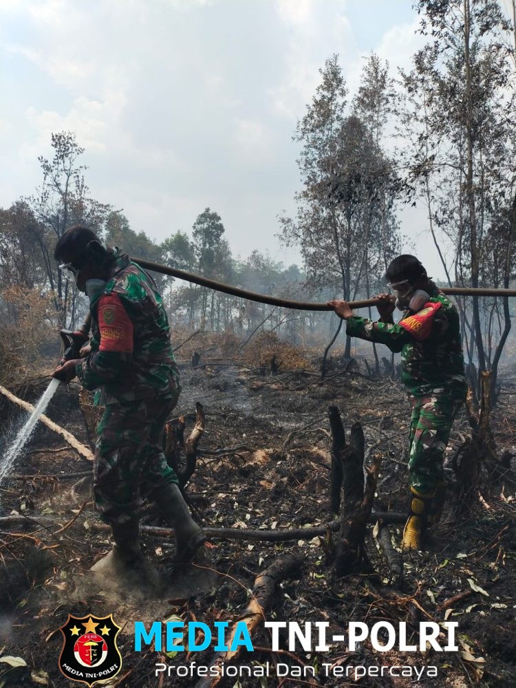 Perjuangan Tanpa Kenal Lelah, Babinsa Jinakkan Api di Kebun Raya Sriwijaya