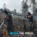 Perjuangan Tanpa Kenal Lelah, Babinsa Jinakkan Api di Kebun Raya Sriwijaya
