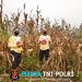 Panen Jagung di Kelampai Setolo, Polsek Meranti Dorong Ketahanan Pangan dan Produktivitas Petani