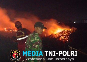 Babinsa Bersama Polri dan Manggala Agni Berjibaku Padamkan Karhutla di Desa Padang Bulan