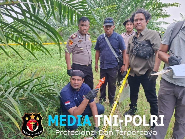 Kesigapan Polsek Gunung Malela dan Tim Inafis Ungkap Penyebab Kematian Wanita di Areal Perkebunan PTPN IV