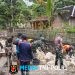 Babinsa Gesi Ikut Bangun Talud Jalan, Gotong Royong Jadi Perekat TNI dan Warga