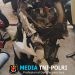 Polisi Identifikasi Korban Laka Tunggal di Depan Ramayana Bandar Lampung