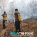 Api Kembali Muncul di Bukit Tambahrejo, Tim Gabungan Polres-TNI-BPBD Pringsewu Turun Tangan