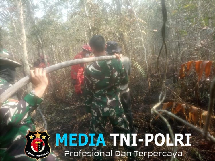 Sigap dan Pantang Menyerah Satgas Karhutlah Koramil 402-08/Pampangan Padamkan Api di Desa Sungai Bungin