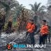 Polres Landak Uji Coba X-Fire untuk Padamkan Karhutla di Lahan Gambut