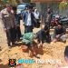 Babinsa Hadiri Peletakan Batu Pertama Mushola Hamid Dimyathi di Hargorejo