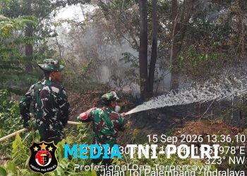 Gerak Cepat TNI, Polri, BPBD dan Manggala Agni Tangani Karhutla di Tanjung Seteko