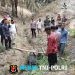 Evakuasi Tapir di Mesuji Warga Bersama Mantan Bupati dan Polisi Selamatkan Satwa Dilindungi di Kebun Sawit PT. PAL