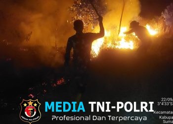 Tim Gabungan Kembali Padamkan Karhutla di Desa Ibul Besar 1 Api Berhasil Dipadamkan