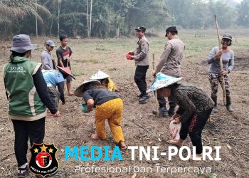 Karhutla Ditangani, Ketahanan Pangan Tak Dilupakan Polsek Ngabang Tanam Jagung 1 Hektare