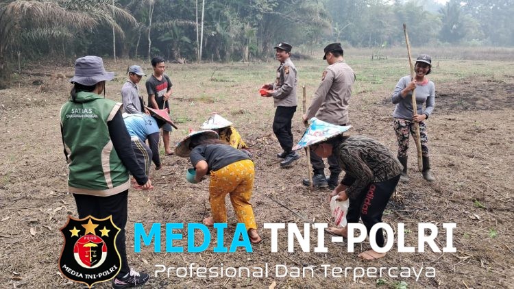 Karhutla Ditangani, Ketahanan Pangan Tak Dilupakan Polsek Ngabang Tanam Jagung 1 Hektare