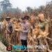 Panen 6 Ton Jagung, Polsek Sengah Temila Dorong Masyarakat Optimalkan Lahan Produktif