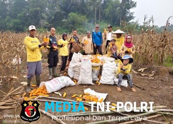 Panen Jagung di Meranti Tembus 5 Ton, Polsek Dorong Petani Terus Produktif