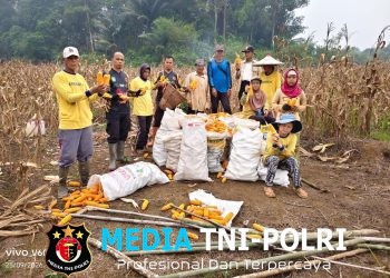 Panen Jagung di Meranti Tembus 5 Ton, Polsek Dorong Petani Terus Produktif