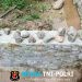 Teguran Keras Tegas Penggunaan Batu Cadas di Proyek Jalan Talamau Duo Koto Pasaman Apakah Pengawasan Hanya Tulisan Saja