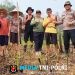 Semangat Tak Kenal Cuaca, Bhabinkamtibmas dan Petani Serta PPL Kompak Tanam Jagung di Pawis Hilir