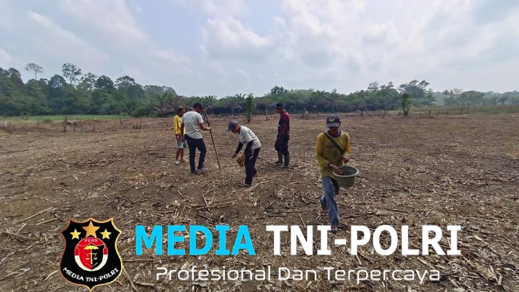 Dukung Ketahanan Pangan, Polsek Meranti Pantau Progres Tanaman Jagung Mandiri Seluas 2 Hektare