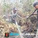 Babinsa dan Tim Gabungan Bergerak Cepat Tangani Karhutla di Pulu Beruang
